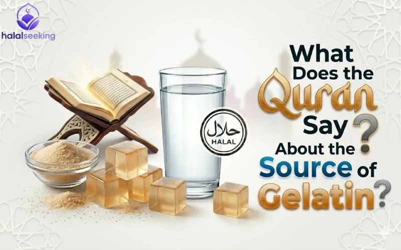 is gelatin halal