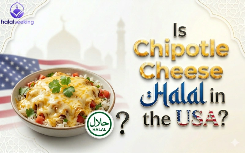 is chipotle halal Is Chipotle Cheese Halal in the USA?