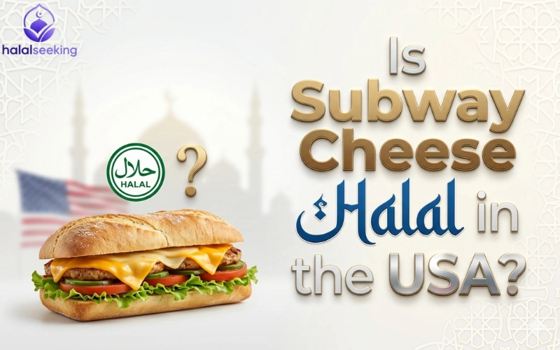 is subway halal in usa Is Subway Cheese Halal in the USA
